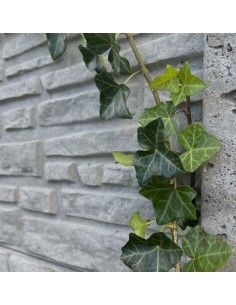 PLAQUE PIERRE SECHE 200x40 cm 2