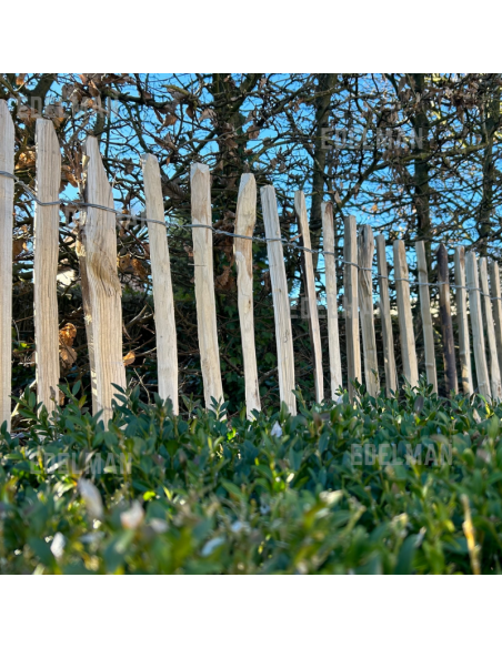 Ganivelle en châtaignier pour une clôture naturelle - Ligerio