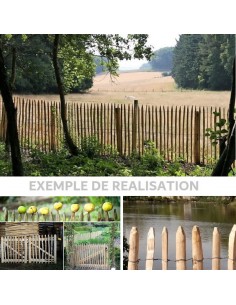 GANIVELLE CHATAIGNIER... 2