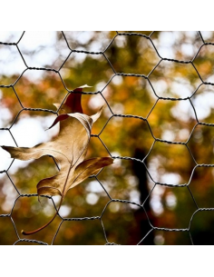 POULE grillage  25m  H200cm... 2